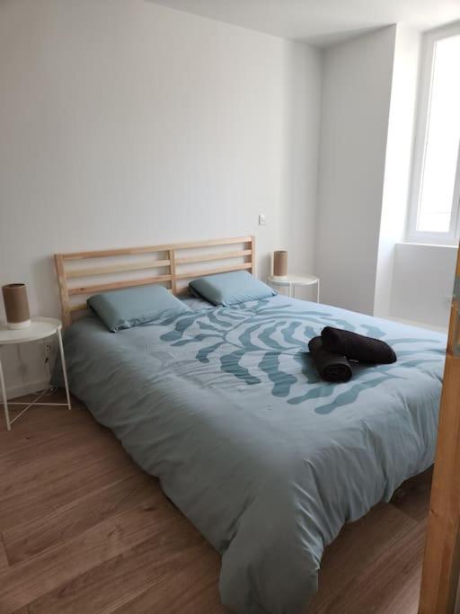 Le Maillot IV Apartment Castres  Ngoại thất bức ảnh